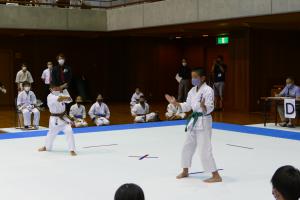 P1550633.jpg