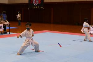P1550637.jpg