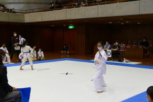 P1550641.jpg