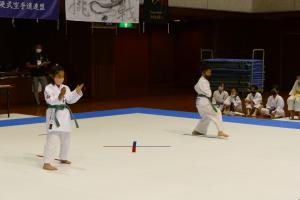 P1550651.jpg