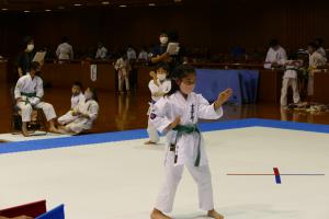 P1550667.jpg
