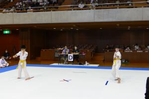 P1550671.jpg