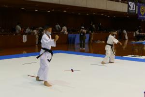 P1550686.jpg