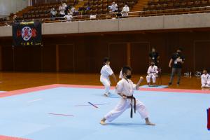 P1550688.jpg