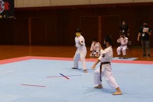 P1550689.jpg