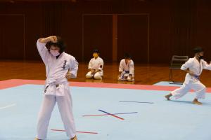 P1550695.jpg