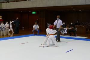 P1550718.jpg