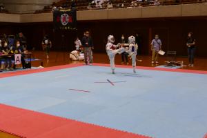 P1550721.jpg