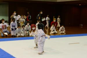 P1550725.jpg