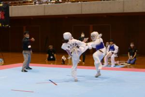 P1550744.jpg