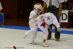 P1550746.jpg