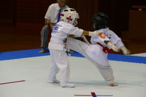 P1550747.jpg