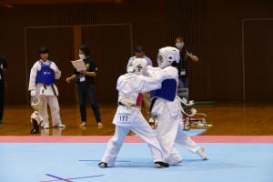 P1550748.jpg