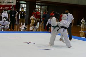 P1550762.jpg
