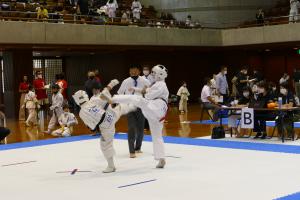 P1550764.jpg