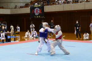 P1550777.jpg