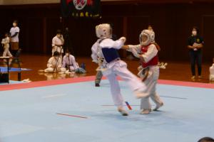 P1550779.jpg