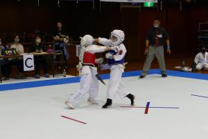 P1550807.jpg