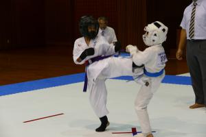 P1550815.jpg