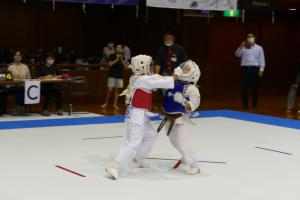 P1550817.jpg