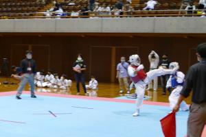 P1550829.jpg
