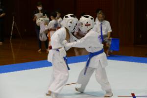 P1550835.jpg