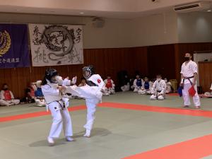 IMG_3520.jpg