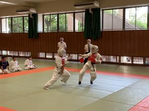 IMG_3534.jpg