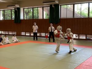 IMG_3536.jpg