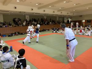 IMG_3547.jpg