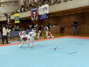 IMG_6086.jpg