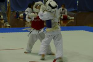 P1560686.jpg