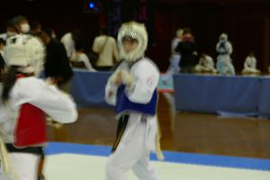 P1560717.jpg