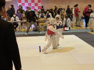 IMG_6845.jpg