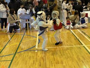IMG_6894.jpg