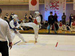 IMG_6962.jpg