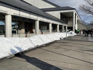 IMG_7559.jpg
