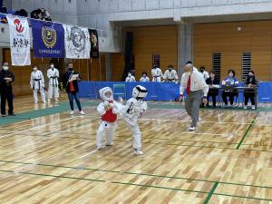 IMG_8211.jpg