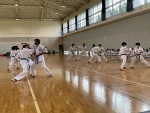 IMG_8395.jpg
