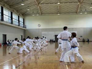 IMG_8397.jpg