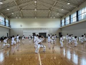 IMG_8409.jpg