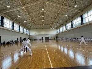 IMG_8412.jpg