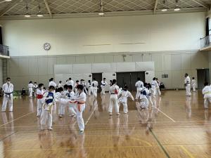 IMG_8425.jpg