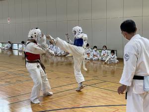 IMG_8447.jpg