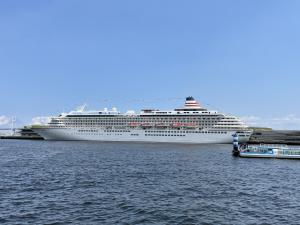 IMG_9368.jpg