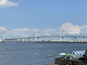 IMG_9374.jpg