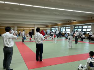 IMG_9426.jpg