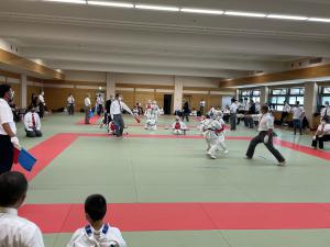 IMG_9428.jpg