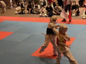 IMG_0081.jpg