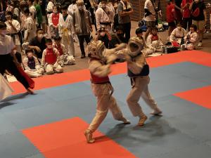 IMG_0088.jpg